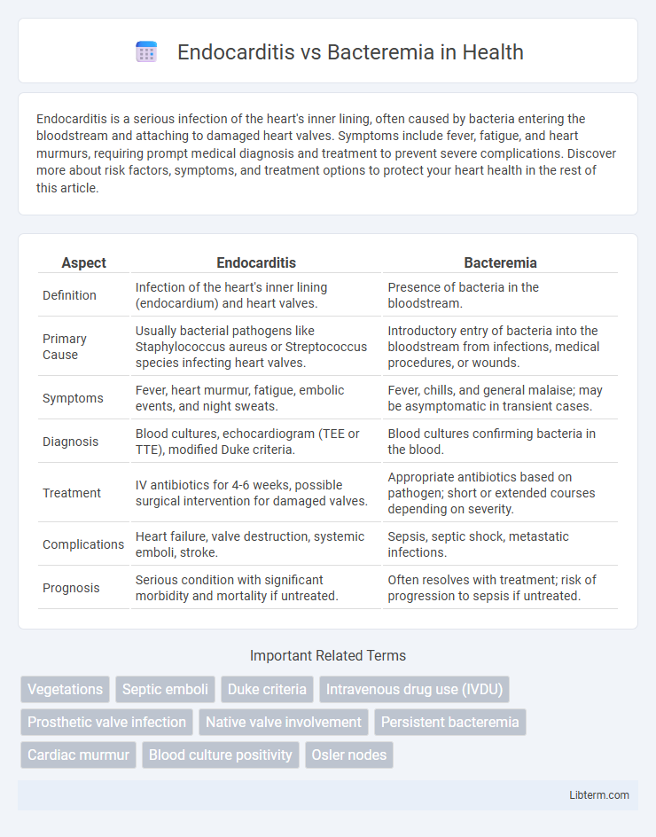 Bacteremia vs Endocarditis in Health - What is The Difference?
