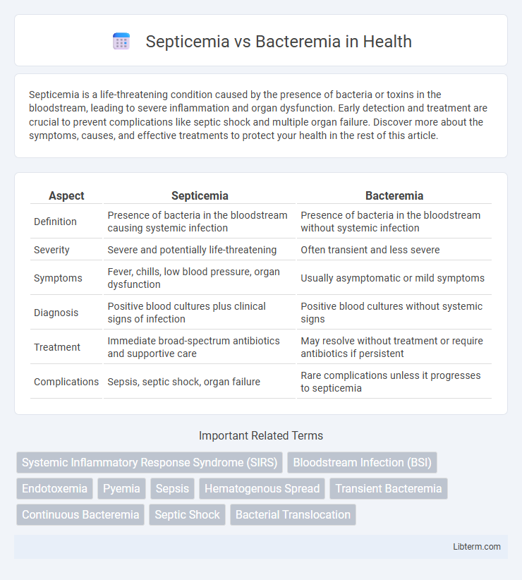 Bacteremia vs Septicemia in Health - What is The Difference?