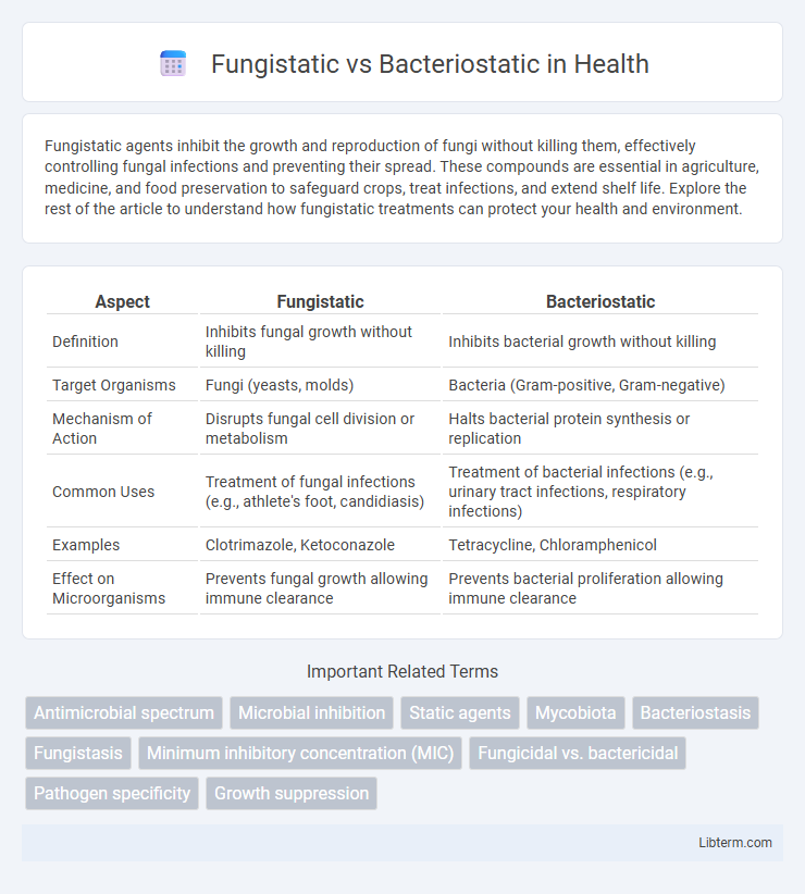 Bacteriostatic vs Fungistatic in Health - What is The Difference?