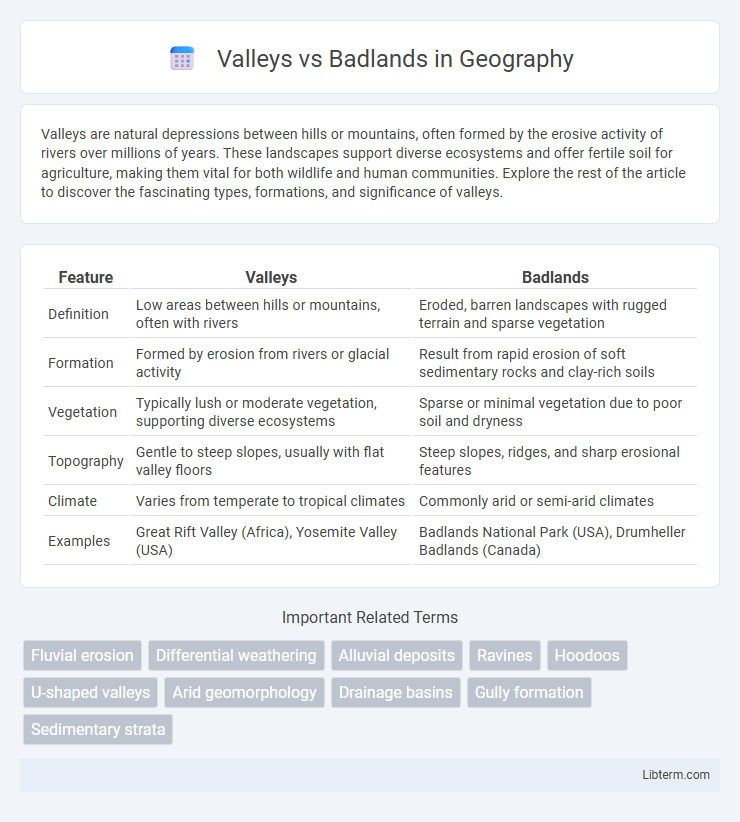 Badlands vs Valleys in Geography - What is The Difference?