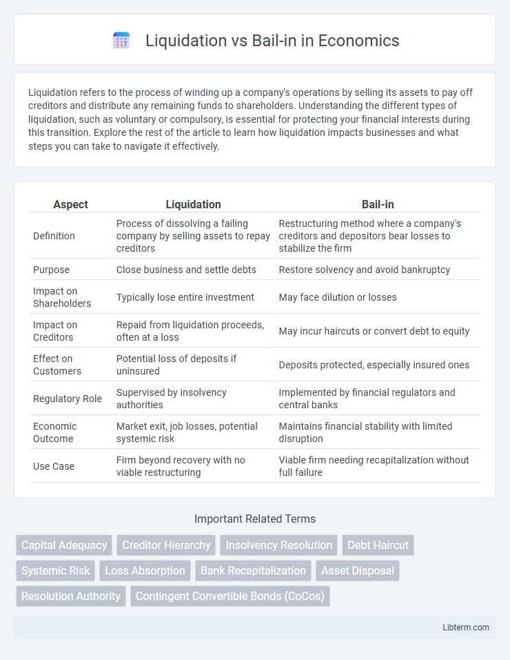 Bail-in vs Liquidation in Economics - What is The Difference?