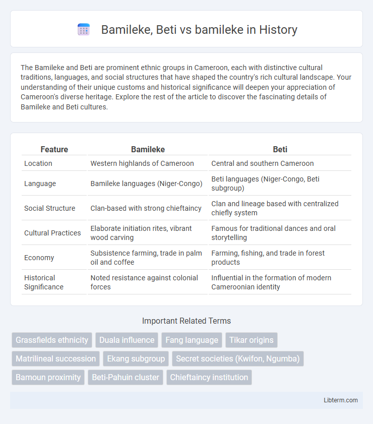 bamileke vs Bamileke, Beti in History - What is The Difference?