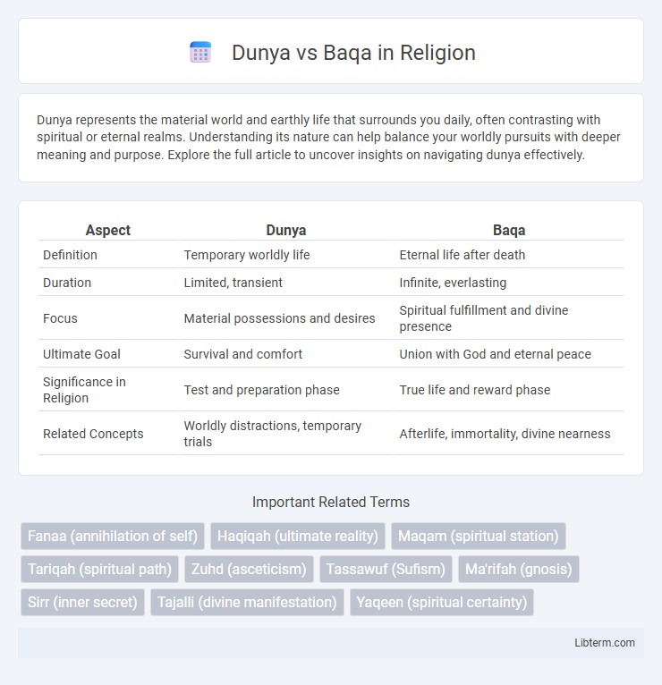 Baqa vs Dunya in Religion - What is The Difference?