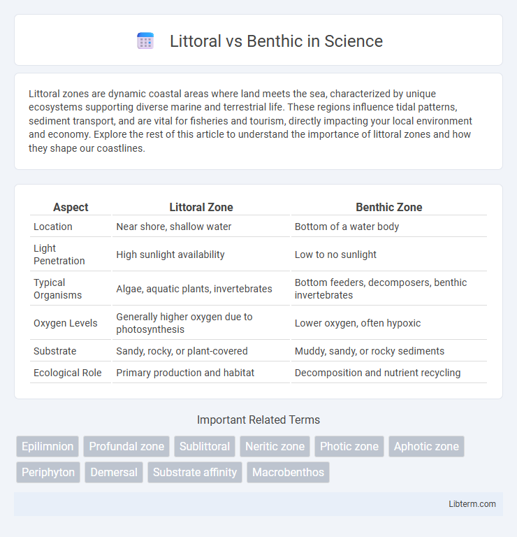 Benthic vs Littoral in Science - What is The Difference?