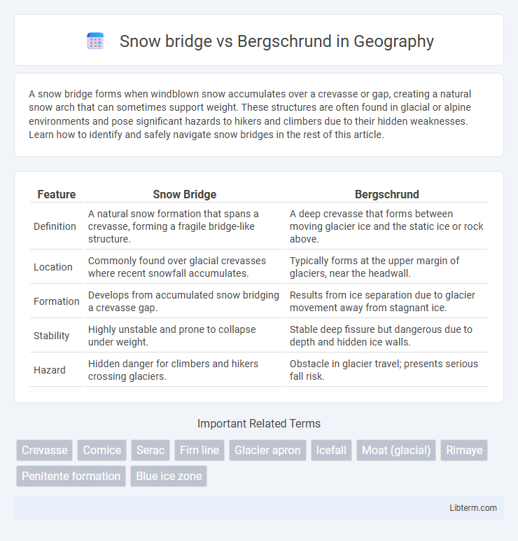 Bergschrund vs Snow bridge in Geography - What is The Difference?