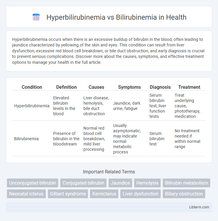 Bilirubinemia vs Hyperbilirubinemia in Health - What is The Difference?