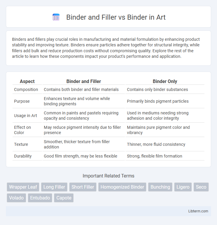 Binder vs Binder and Filler in Art - What is The Difference?