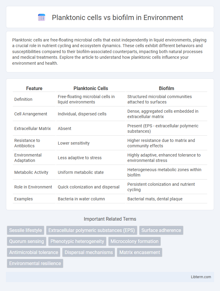 biofilm vs Planktonic cells in Environment - What is The Difference?