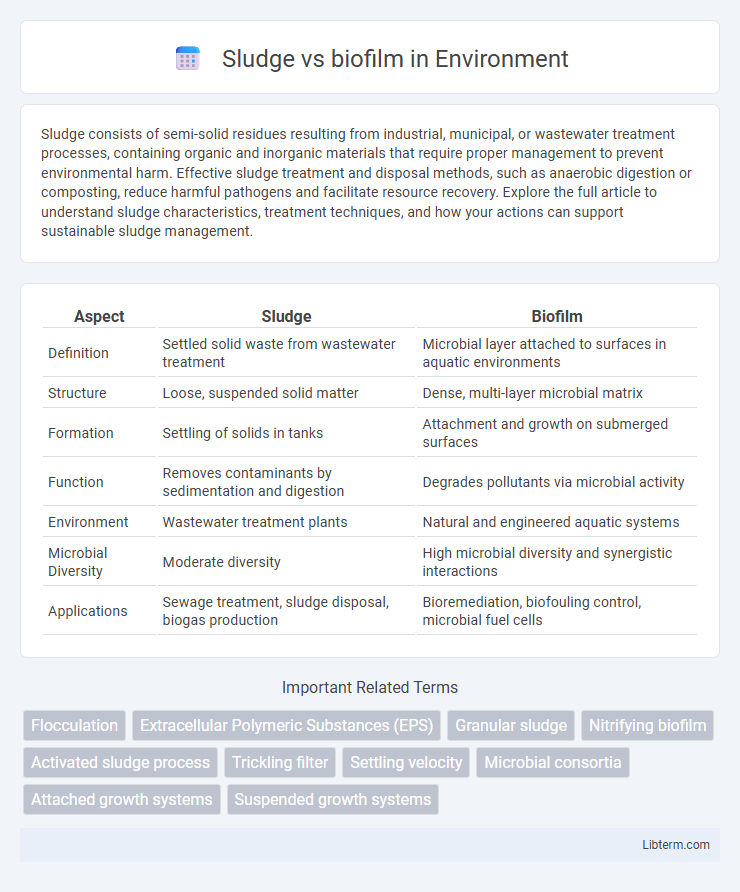 biofilm vs Sludge in Environment - What is The Difference?