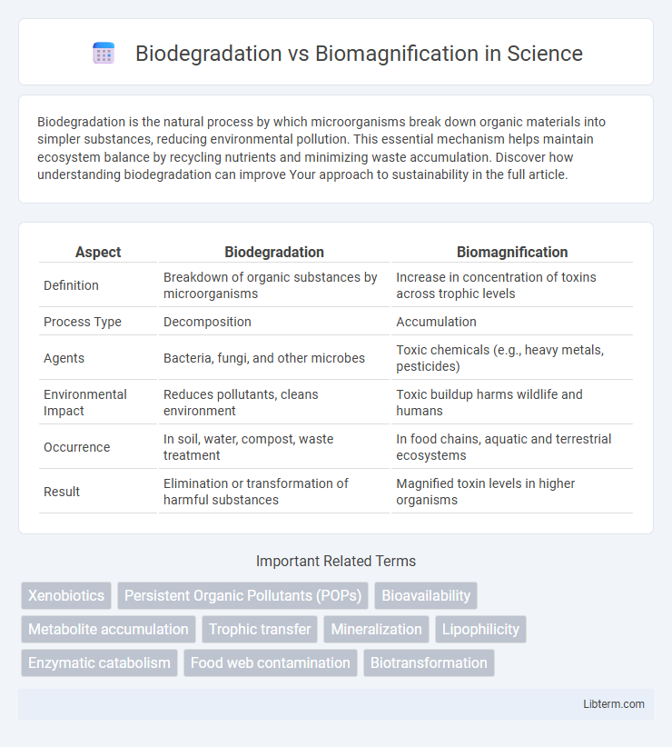 Biomagnification vs Biodegradation in Science - What is The Difference?