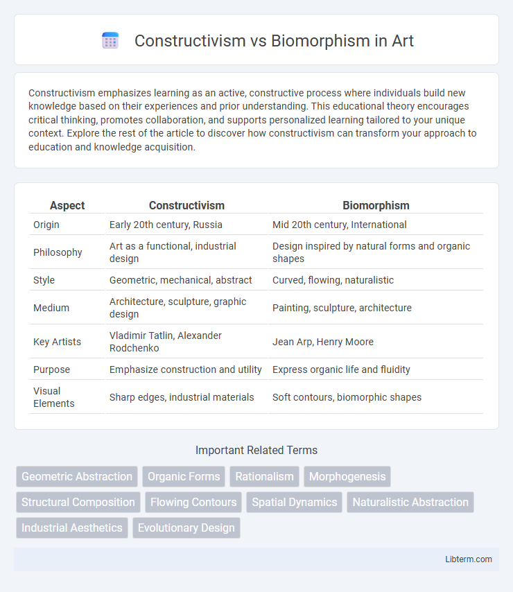 Biomorphism vs Constructivism in Art - What is The Difference?
