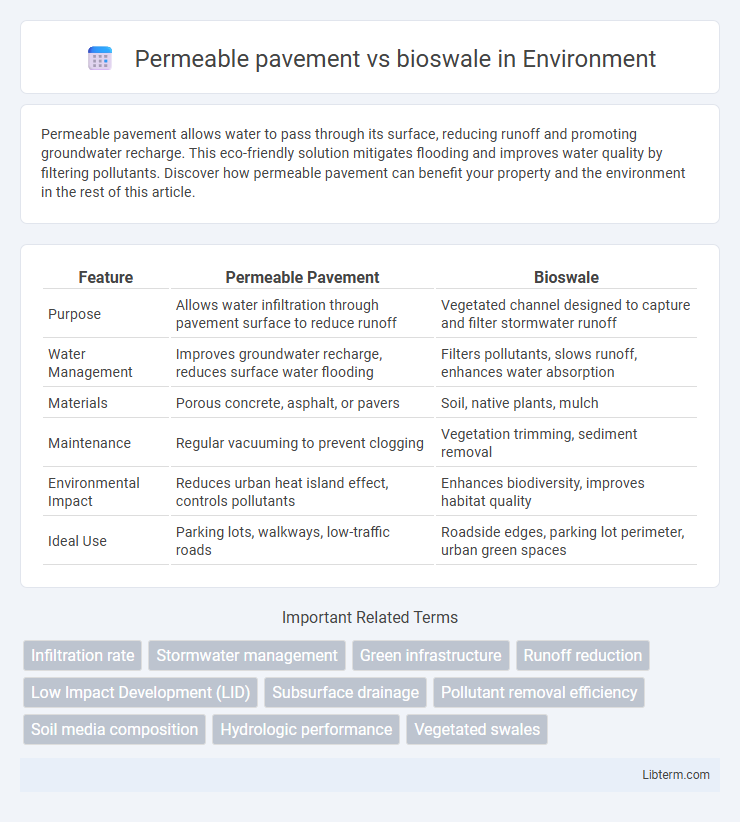 bioswale vs Permeable pavement in Environment - What is The Difference?