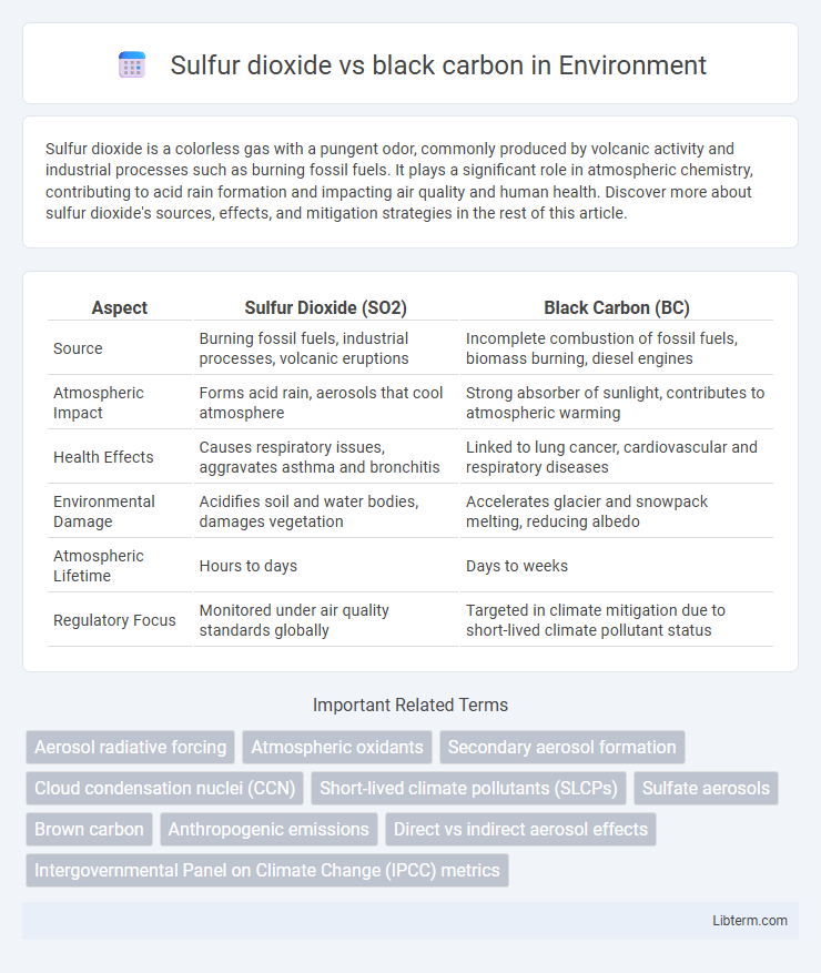 black carbon vs Sulfur dioxide in Environment - What is The Difference?
