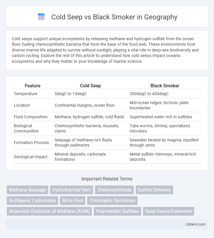 Black Smoker vs Cold Seep in Geography - What is The Difference?