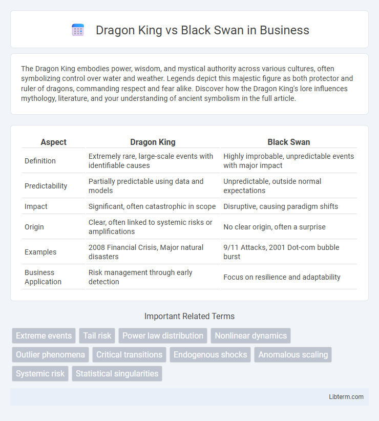 Black Swan vs Dragon King in Business - What is The Difference?