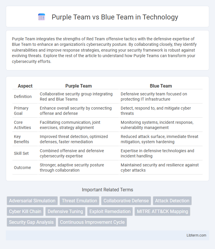 Blue Team vs Purple Team in Technology - What is The Difference?