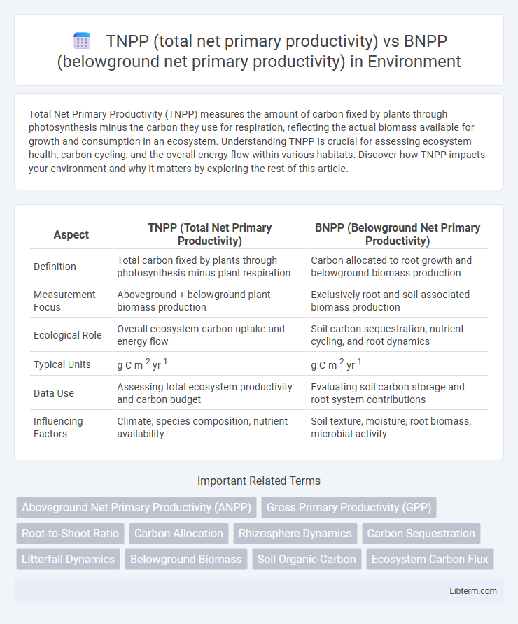 BNPP (belowground net primary productivity) vs TNPP (total net primary productivity) in Environment - What is The Difference?
