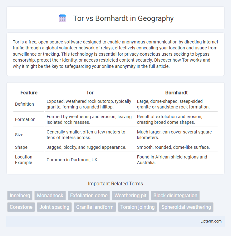 Bornhardt vs Tor in Geography - What is The Difference?