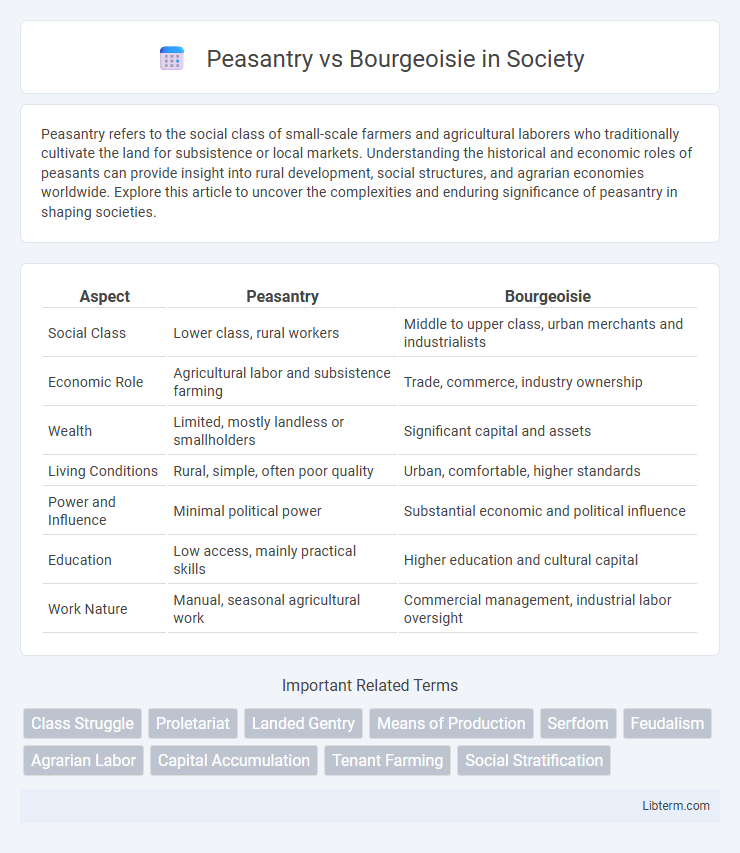 Bourgeoisie vs Peasantry in Society - What is The Difference?