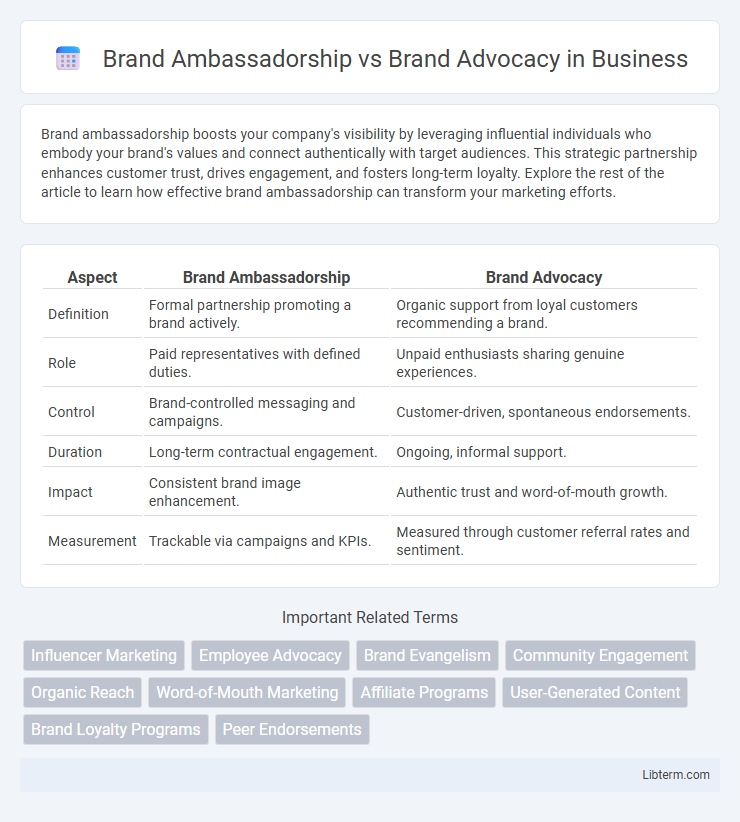 Brand Advocacy vs Brand Ambassadorship in Business - What is The Difference?