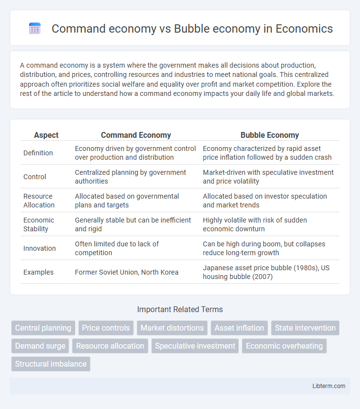 Bubble economy vs Command economy in Economics - What is The Difference?