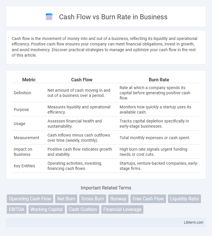 Burn Rate vs Cash Flow in Business - What is The Difference?