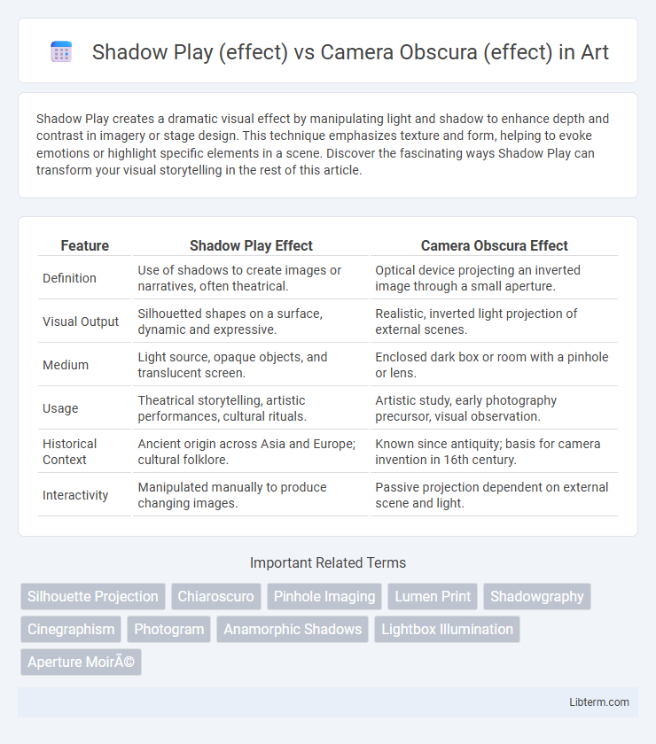 Camera Obscura (effect) vs Shadow Play (effect) in Art - What is The Difference?