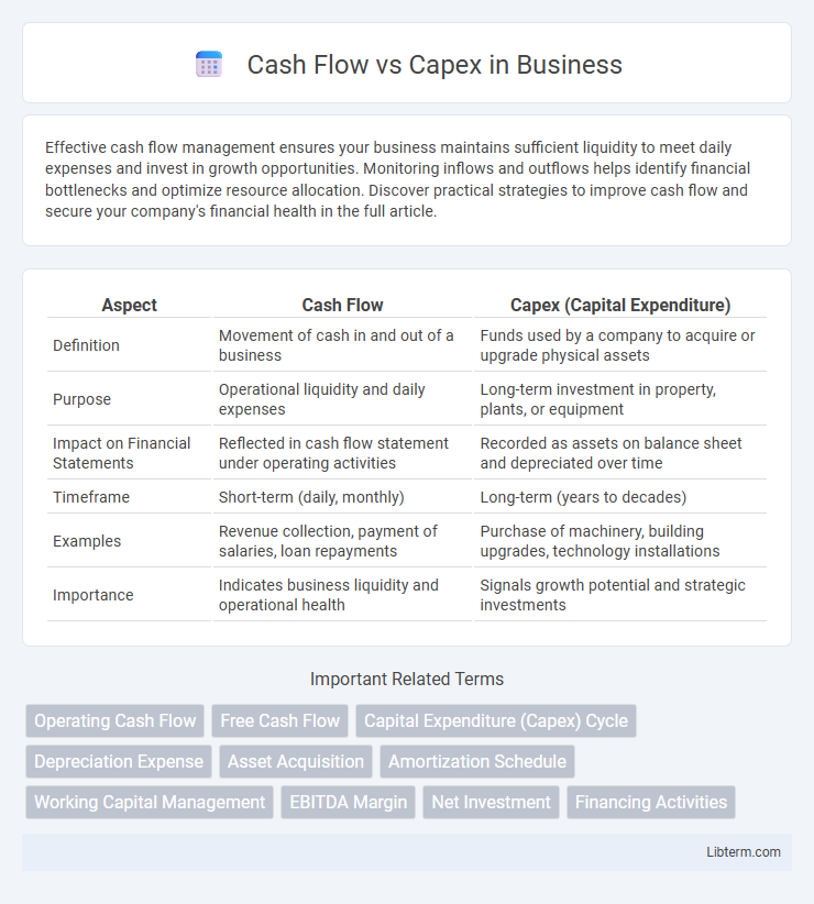 Capex vs Cash Flow in Business - What is The Difference?