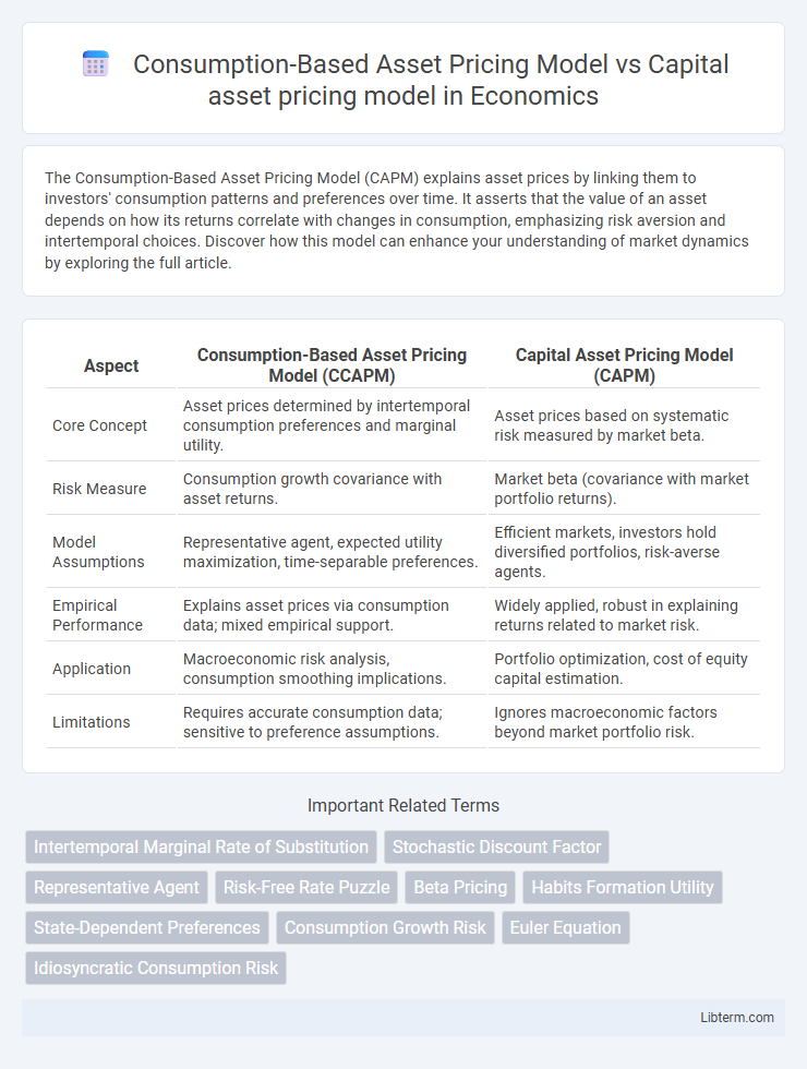 Capital asset pricing model vs Consumption-Based Asset Pricing Model in Economics - What is The Difference?