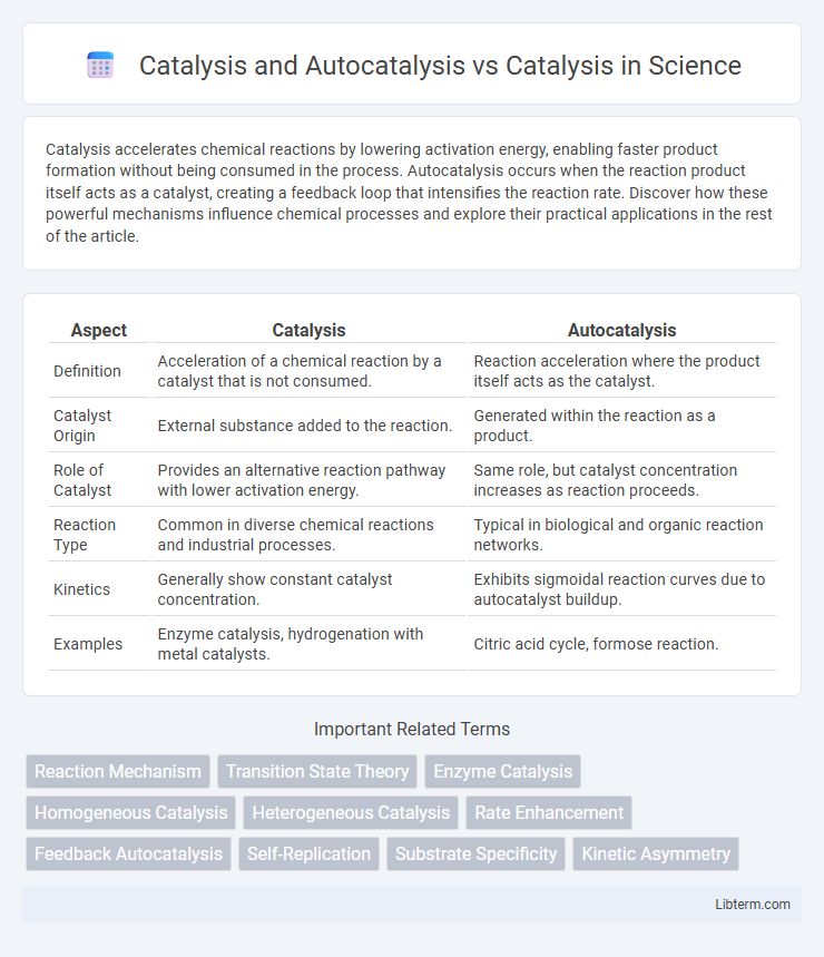 Catalysis vs Catalysis and Autocatalysis in Science - What is The Difference?