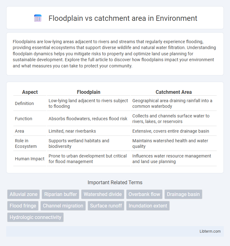 catchment area vs Floodplain in Environment - What is The Difference?