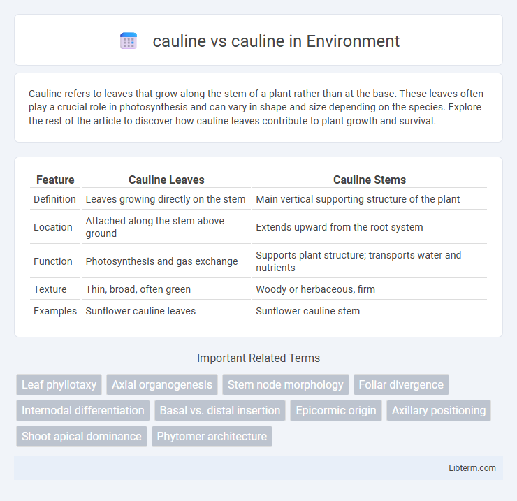 cauline vs cauline in Environment - What is The Difference?