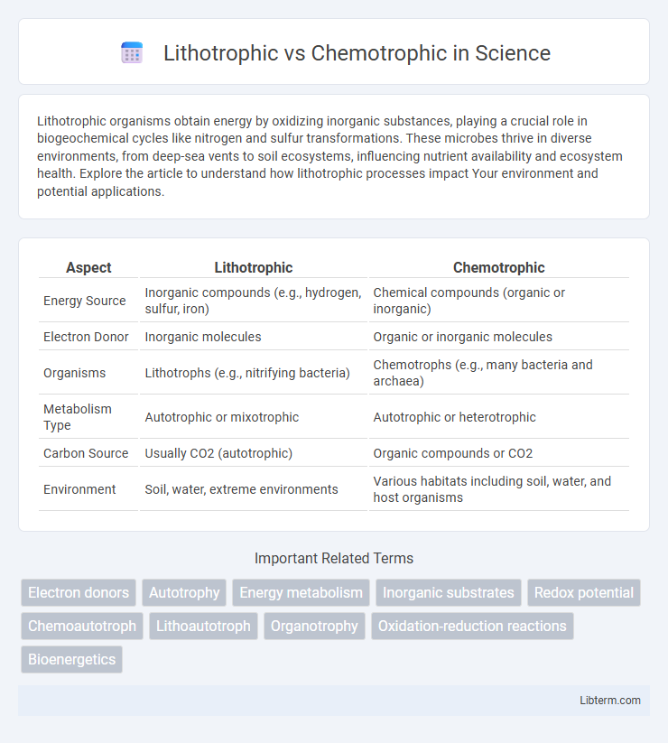 Chemotrophic vs Lithotrophic in Science - What is The Difference?
