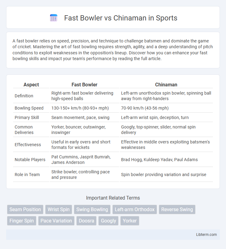 Chinaman vs Fast Bowler in Sports - What is The Difference?