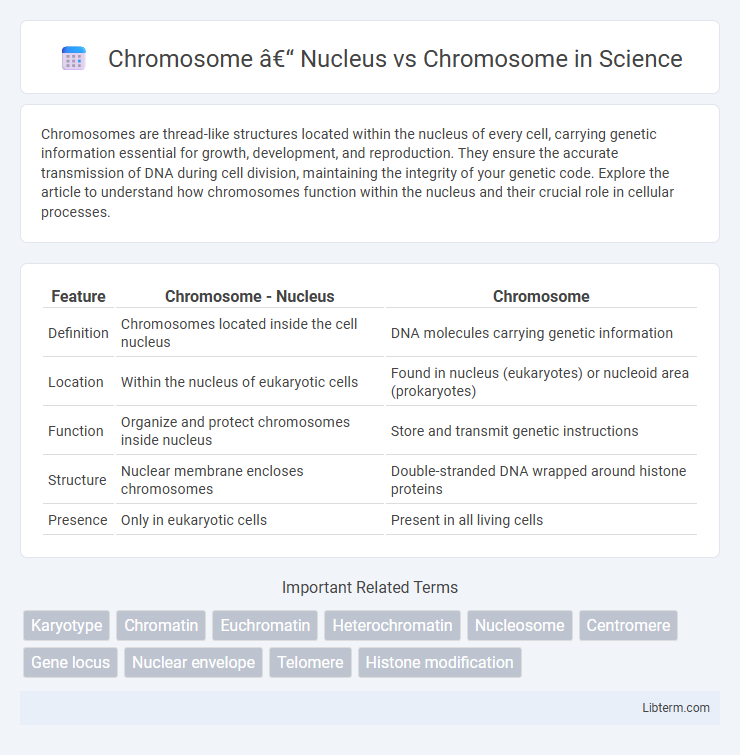 Chromosome vs Chromosome – Nucleus in Science - What is The Difference?