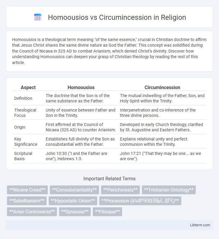 Circumincession vs Homoousios in Religion - What is The Difference?