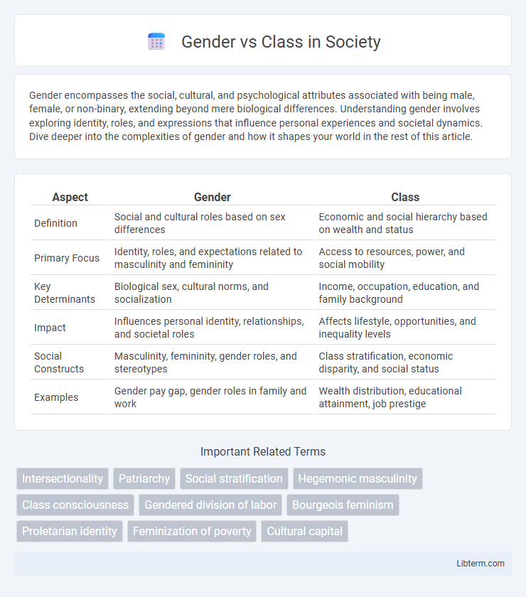Class vs Gender in Society - What is The Difference?