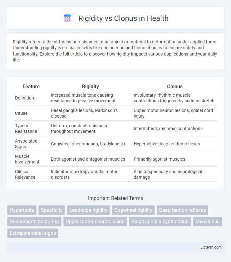 Clonus vs Rigidity in Health - What is The Difference?