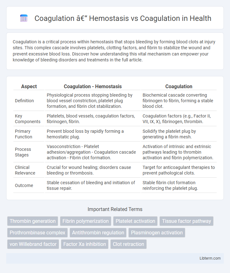 Coagulation vs Coagulation – Hemostasis in Health - What is The Difference?