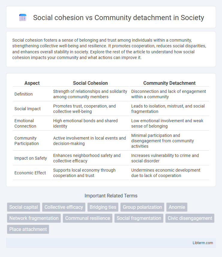 Community detachment vs Social cohesion in Society - What is The Difference?