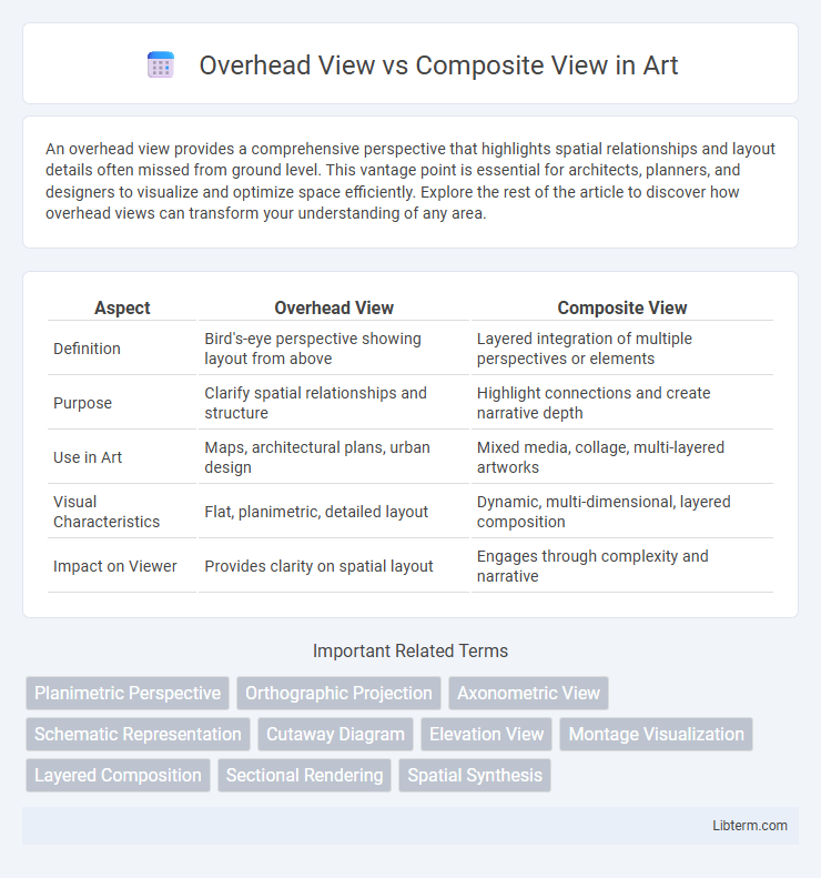 Composite View vs Overhead View in Art - What is The Difference?