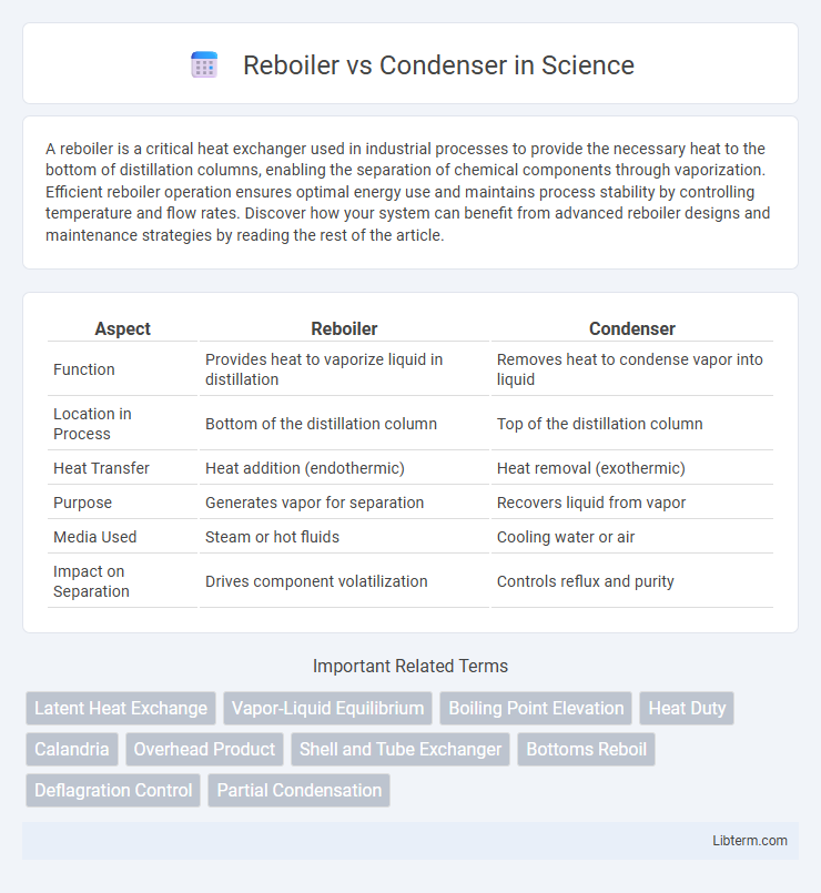 Condenser vs Reboiler in Science - What is The Difference?