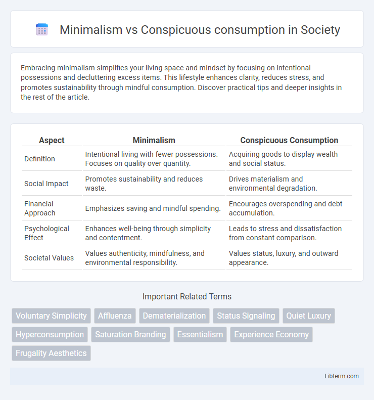 Conspicuous consumption vs Minimalism in Society - What is The Difference?