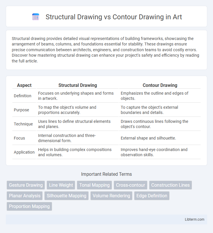 Contour Drawing vs Structural Drawing in Art - What is The Difference?