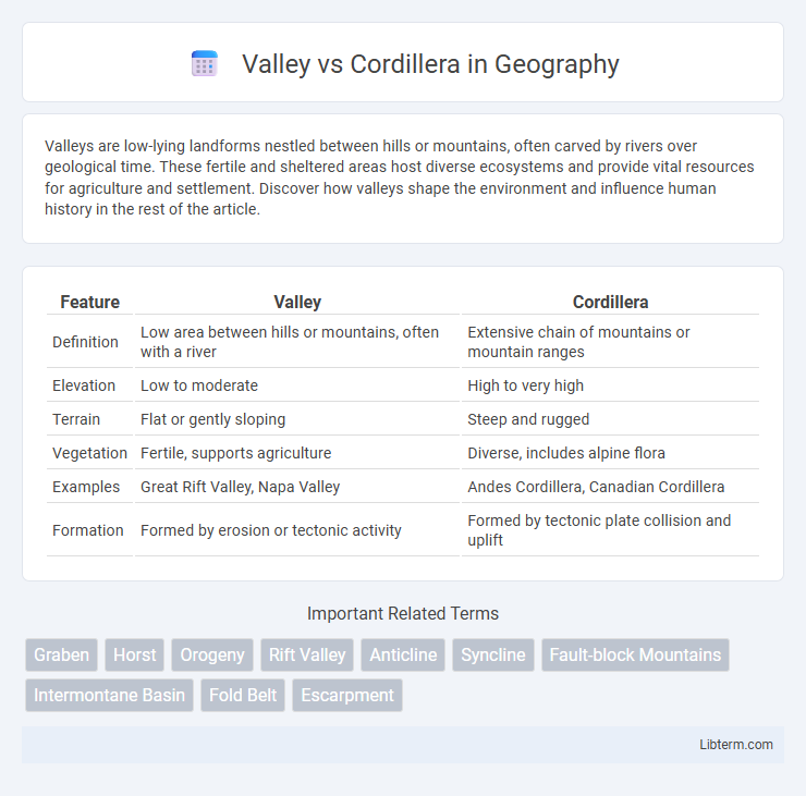 Cordillera vs Valley in Geography - What is The Difference?