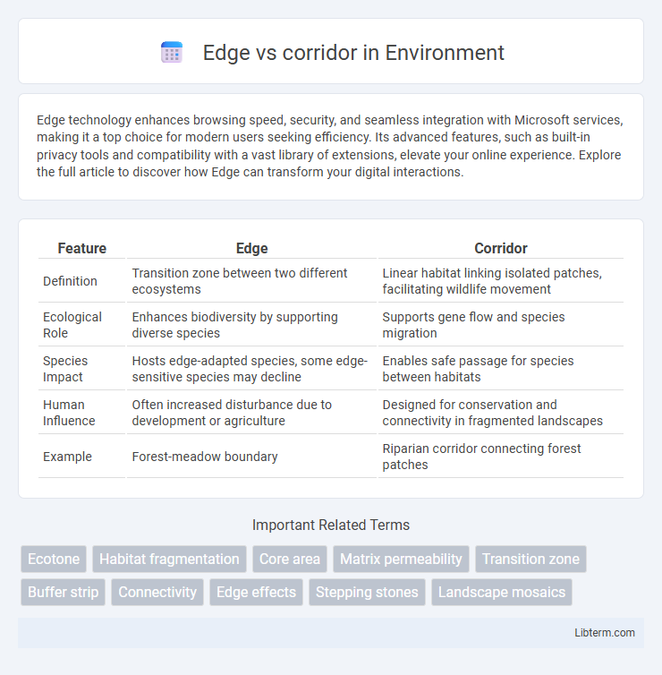 corridor vs Edge in Environment - What is The Difference?