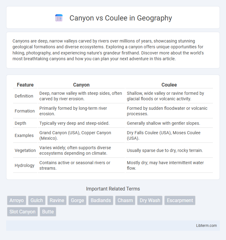 Coulee vs Canyon in Geography - What is The Difference?