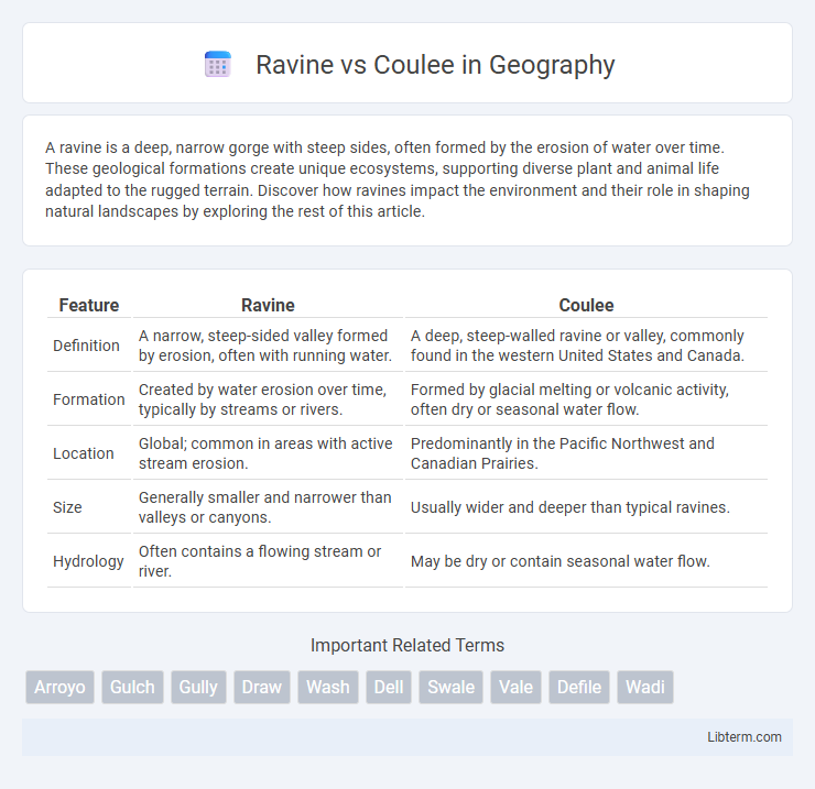 Coulee vs Ravine in Geography - What is The Difference?