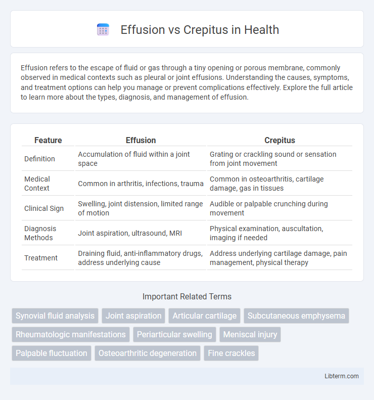 Crepitus vs Effusion in Health - What is The Difference?