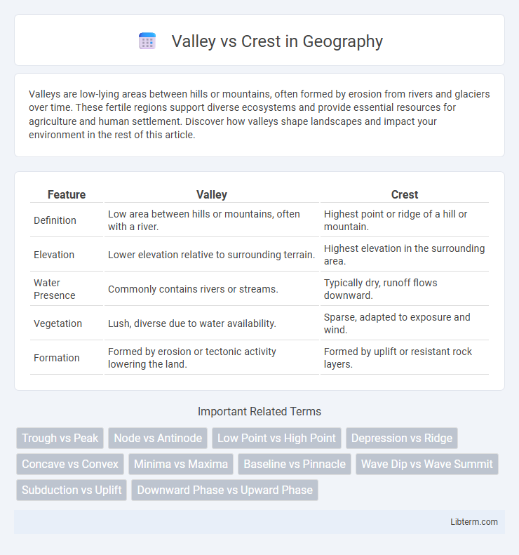 Crest vs Valley in Geography - What is The Difference?